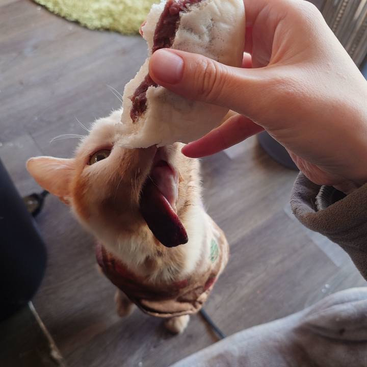 03108acb 241d 4af8 8f81 f9206c1d7841 1772697017862