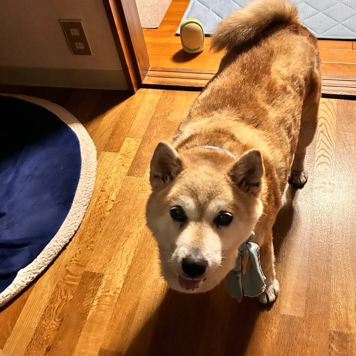 03108c99 ebd7 4a59 8c36 3b6dce607f74 1752248066508