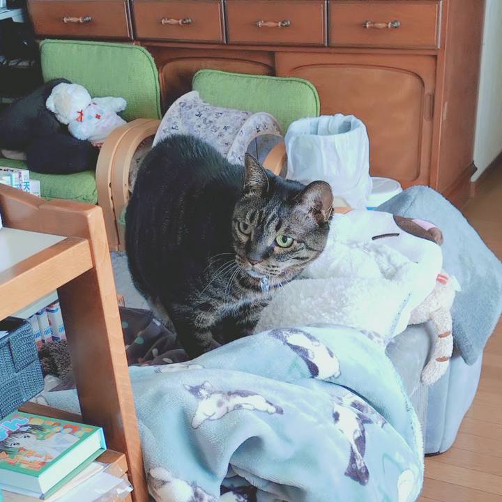 03109b3a bff6 4669 b504 10b444137e0c 1773537482478