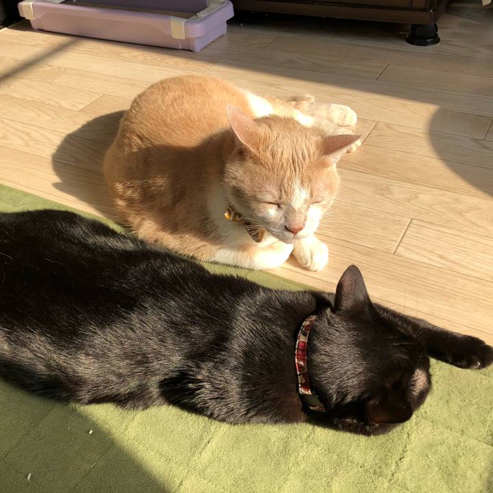 0310c77c 79be 4f4f a01f 1a71fe3dc66d 1587856433508