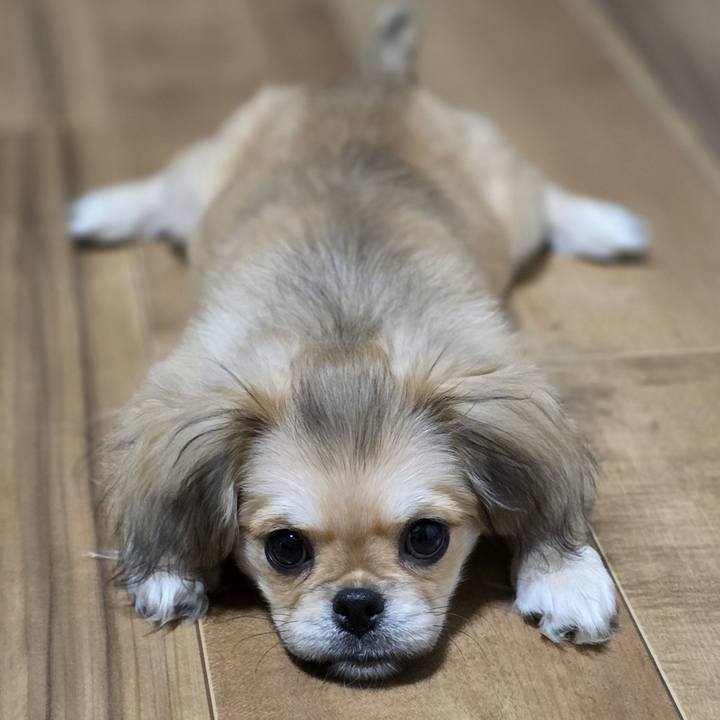 0310d31b 23f3 4299 a696 a8787fa9dd59 1775001500271