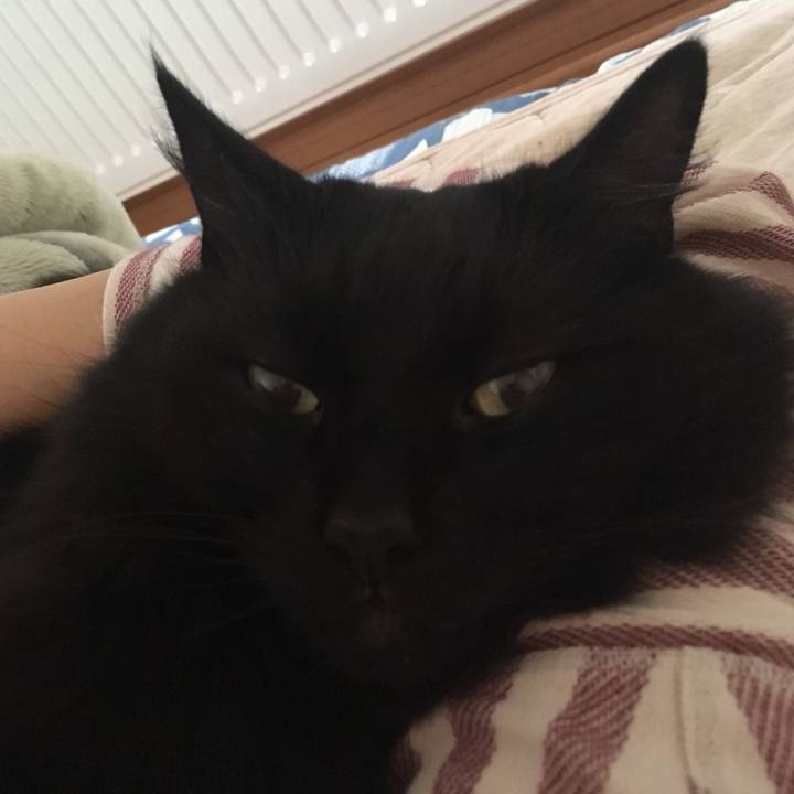 0310dd77 c5d2 49c5 88e0 7404b2919a4f 1528503992031