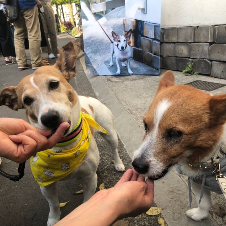 0310e4f4 a2dd 4c0c 88a3 2226d4806ad8 1524399743974