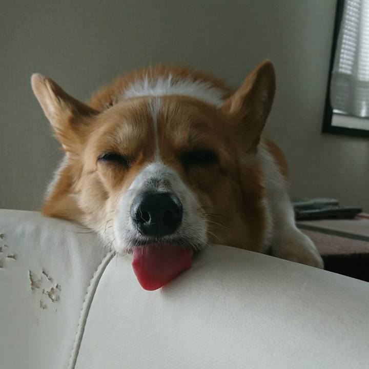 0310e79e fa80 4c3e 9988 b6d81cfbfd7b 1524369802837