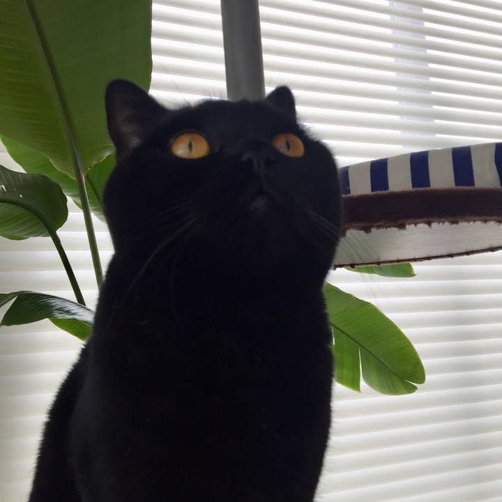 031103eb dc30 4d09 95cd e162efd4cdd5 1551688103955