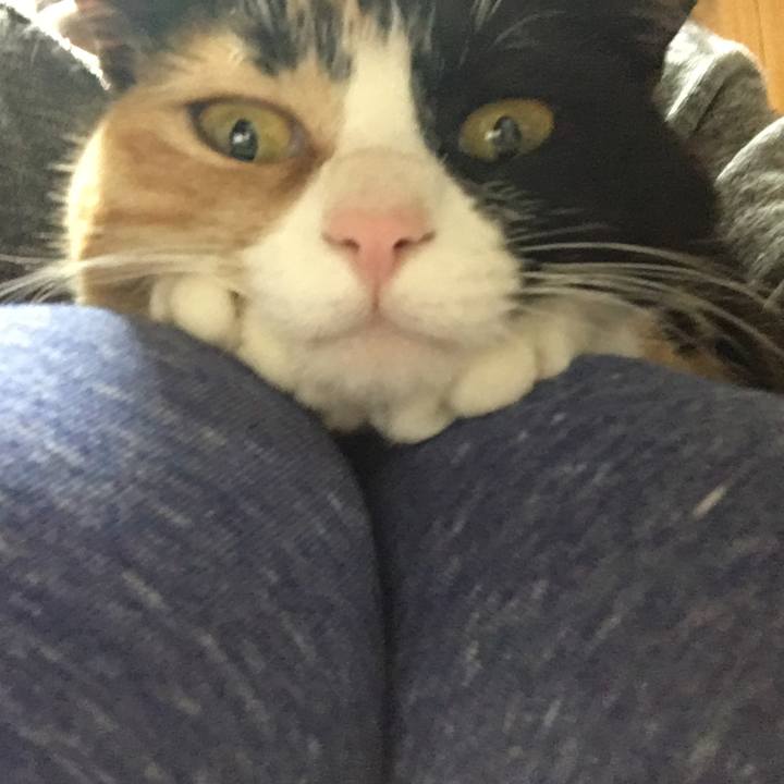 0311666a a996 40fc 9015 0e538f2cf3bd 1511522429799