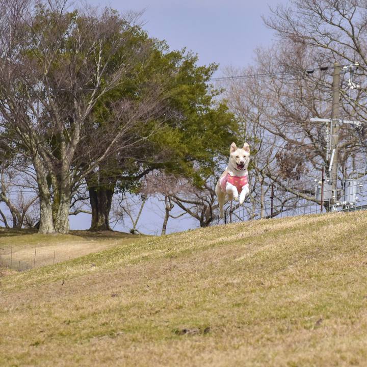 03117b6e 6769 4003 8be4 5f368fbc3114 1520004599750