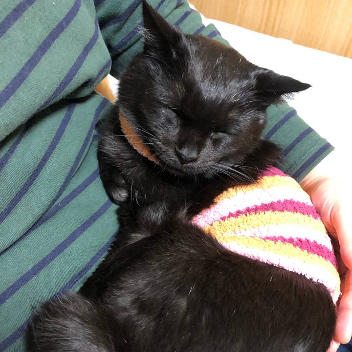 0311944e 329b 4f5c 8831 761fc2b03cde 1588765408562