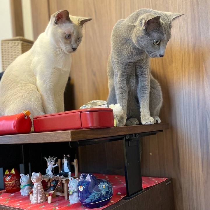 031197a3 0a07 4e11 a733 ad3184f1450b 1740049646927