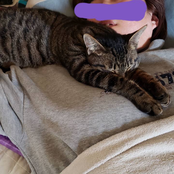 0311b608 3d46 44eb b5c1 006123851198 1549332825867