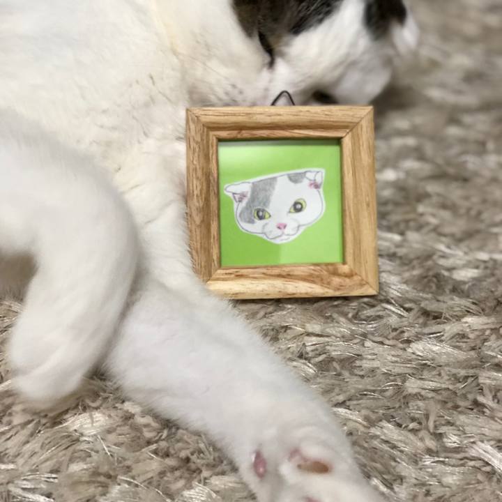 0311c77b 7d6d 4085 967c 669d9ac72b92 1535540459314