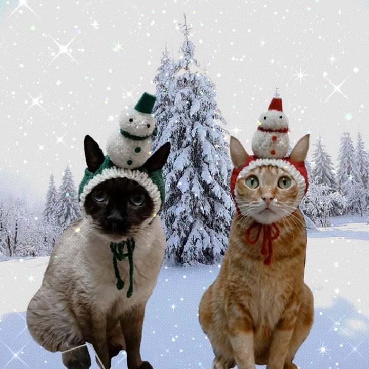 0311c976 b854 4fc7 bd1a 329363350088 1609973982891