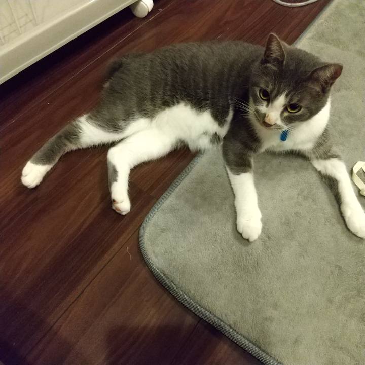 03120dfb 3c33 45ac 9d31 8b11fb07d2f0 1601478350710