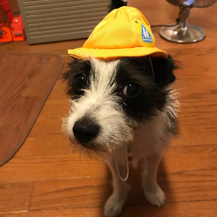 03122ae4 004b 4999 a57e 2d7f7284c246 1526716814598