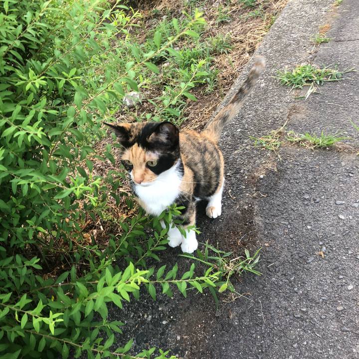 03123009 e5e9 4b46 b935 ee298a39bccc 1598826818483