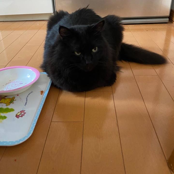 03126656 0e2a 4b34 a9d1 e376d455cb86 1586852590508