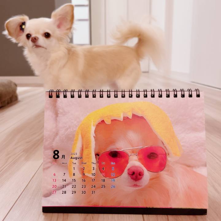 03128132 cacf 42b6 9108 037bfc3a8d37 1690888325260