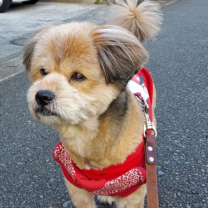 031291ad 8f44 4910 8ade 3419967cd42e 1643447440829