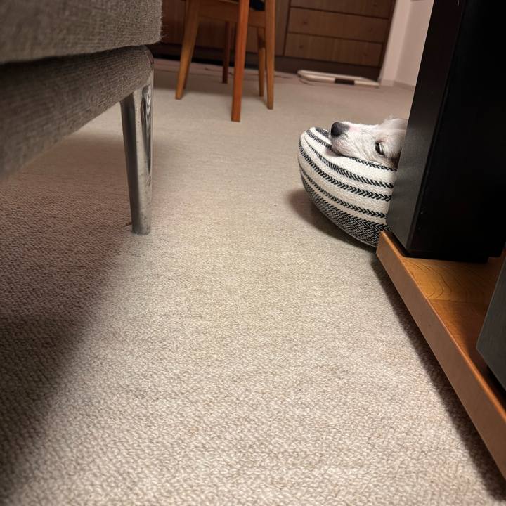 0312b169 853b 4ca8 a8ca c2111d7d07a0 1763647528626