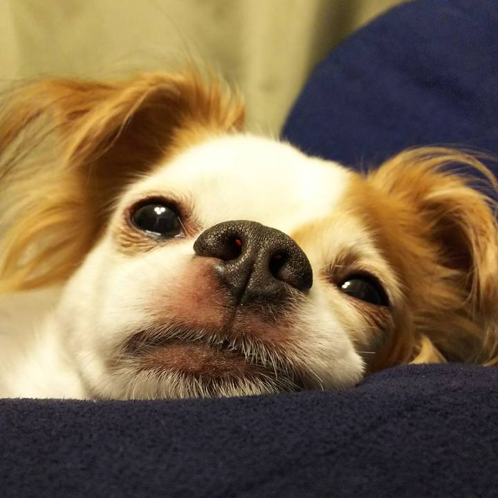 0312cc78 ec58 45f1 81d7 d532e54c6250 1529058369980