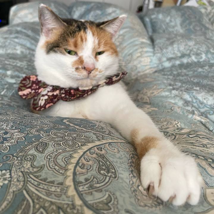 0312f362 ef4f 4c84 8254 51aa5f9f211d 1761544818463