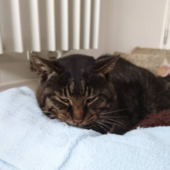 03131032 28ac 43b1 9ad3 6580922fcbc6 1548313991412