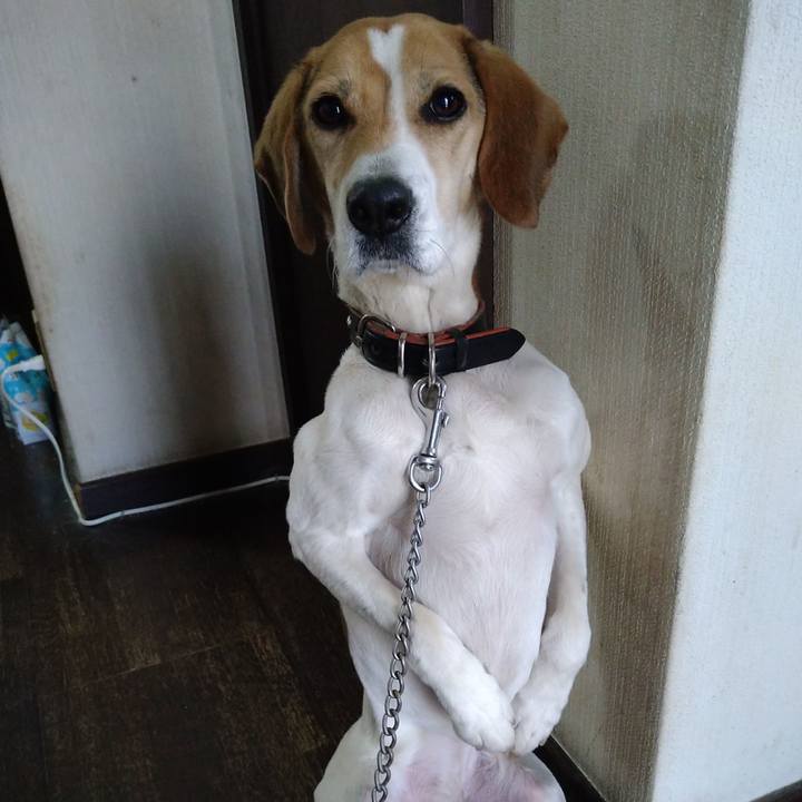 0313341a 56a6 4ab9 9c78 dc1b94c0bb57 1643797249135