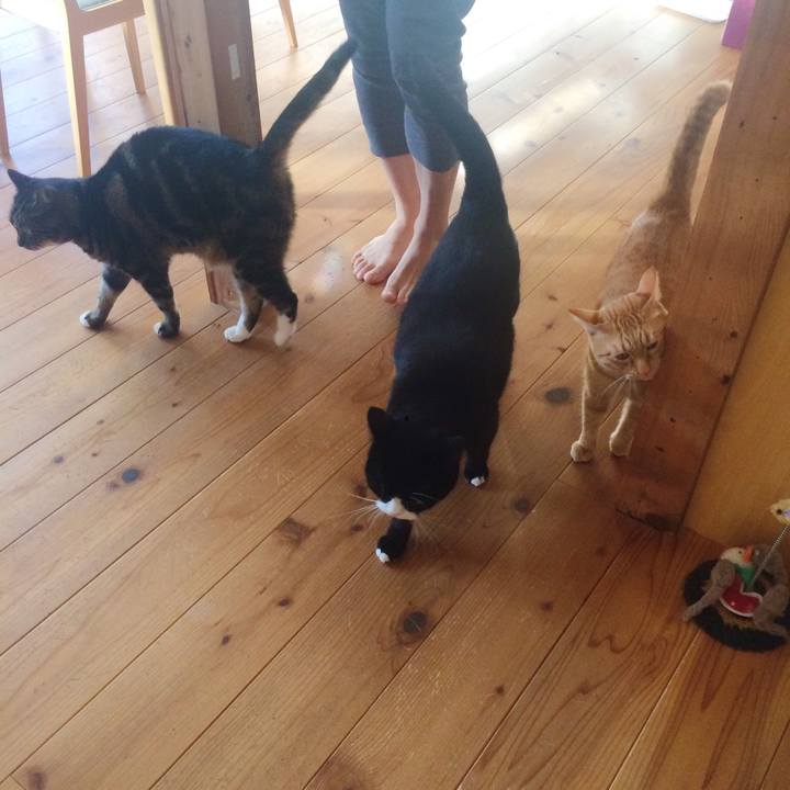 03135238 be8f 483d b1f1 d47bbdae0401 1512259976780