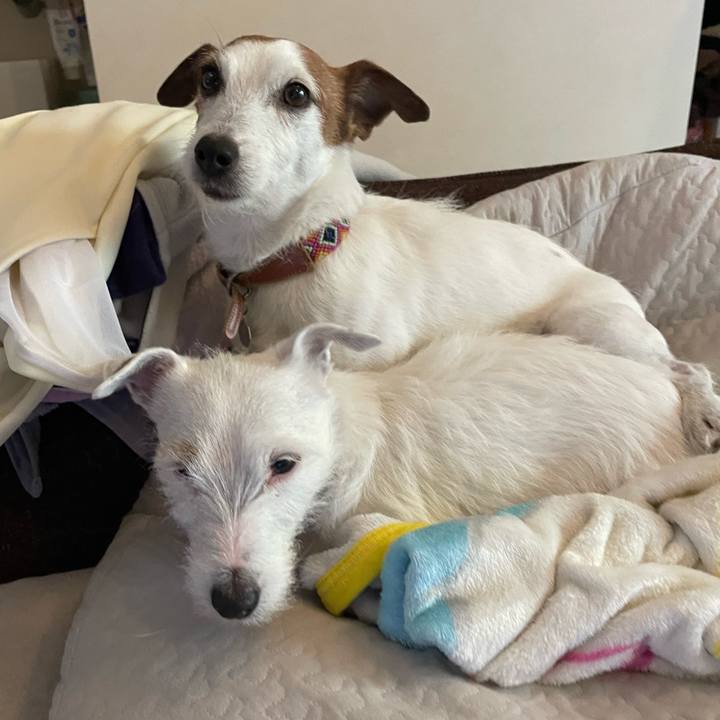 0313662d a1e9 45b2 a7a6 5934e769cb85 1771627196549