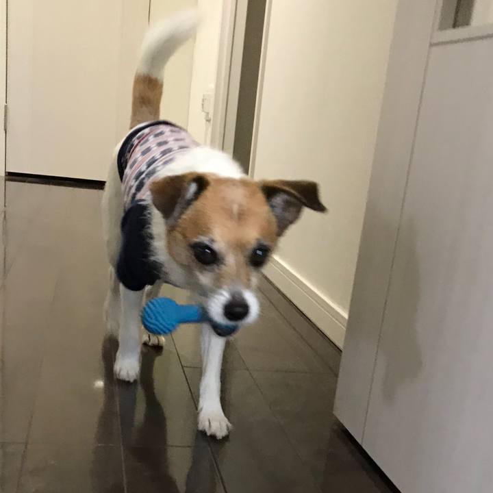 03139a0b 1350 4504 9356 a4e2cdaadbfa 1561436587251