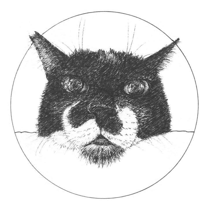 0313c564 abd2 4c98 a89e 1bd21eac6d13 1579441986580