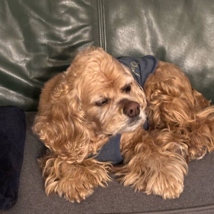 0313ce9e f392 4034 8d88 b3853e057a62 1775833054924