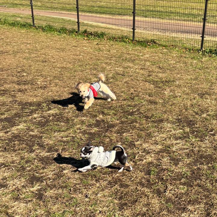 0313e446 c34f 4dcc a181 9c3eb61018bf 1766900629845