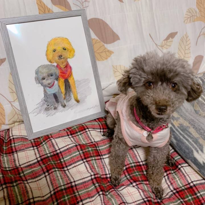 03141454 3144 4060 b2e6 0deda5c14249 1622804595070