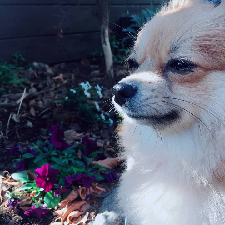 03143301 09af 4a66 bbfc 1799390cb194 1519822249598