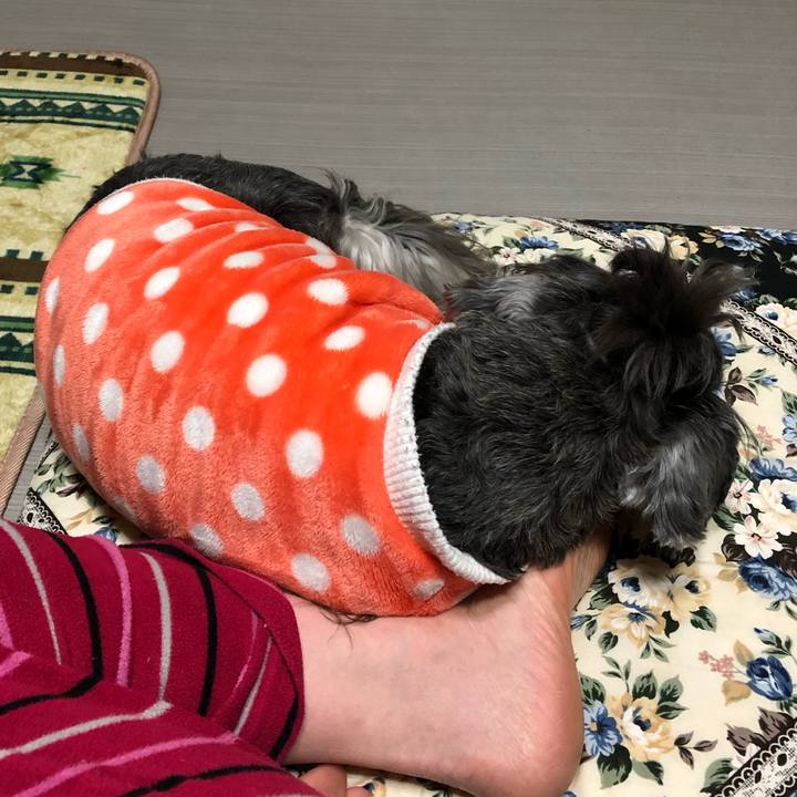 03146789 fe85 41a1 9a10 7b2b98ea8b71 1586775867928