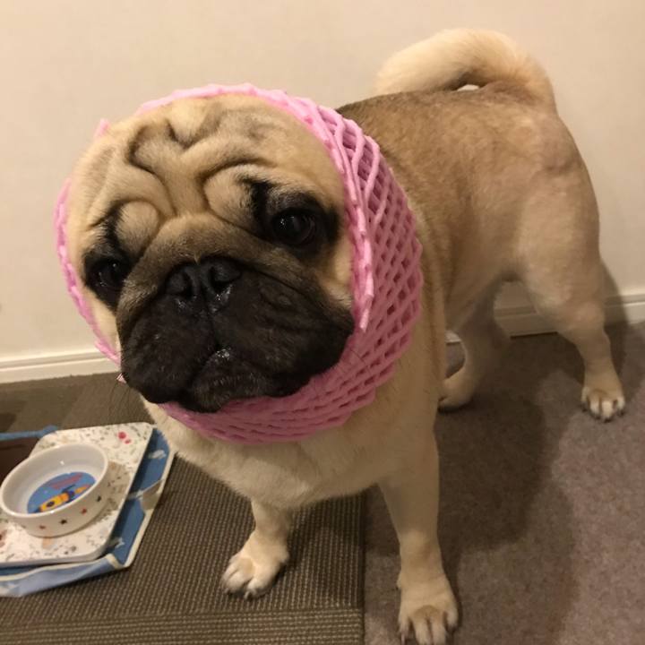 03149db4 3c0c 43c5 b387 f2ef73c96a44 1592135991064