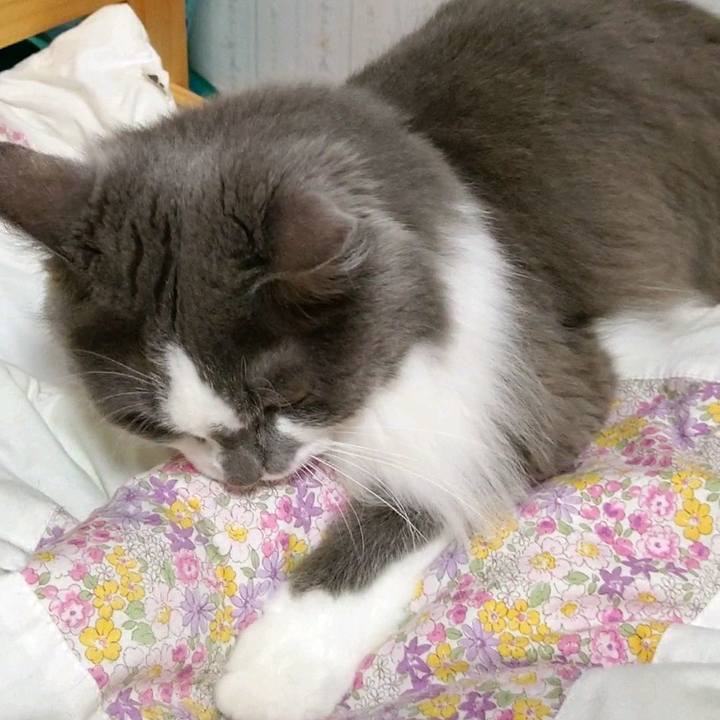 0314d12c d583 4db1 97bc 821646a6abe0 1595747016988