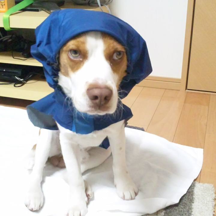 0314d236 6821 4186 8cb7 814ffde94a4b 1522402337201