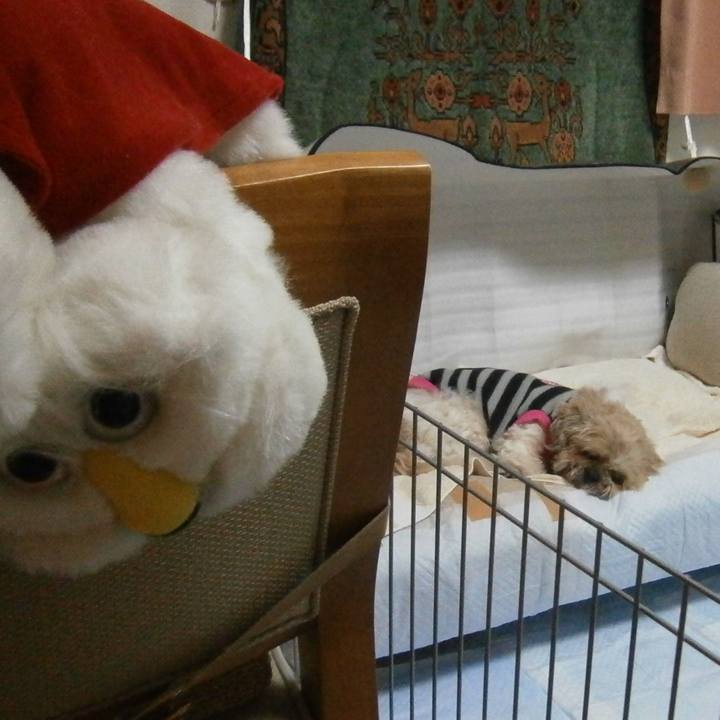 0314d581 4ad0 40f4 8890 97f10a586572 1567766135839