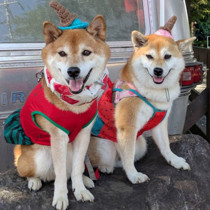 0314d822 44c7 4018 b78e 2e859abd01f0 1754579064154