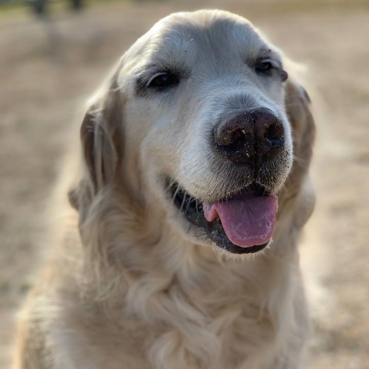 0314f1ae d04b 42b7 ac31 b064debf7cfd 1555716630600