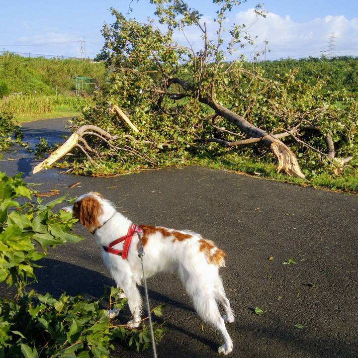 0314f82a b5b7 4d41 bda9 cb86844bac55 1536124312702