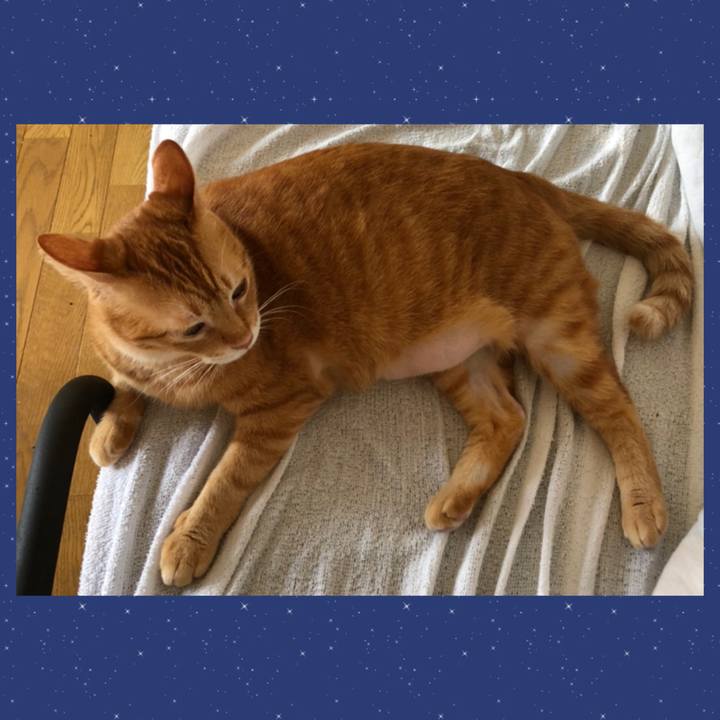 031501b8 f20c 4ab0 a0b7 161d582797ca 1628113314385