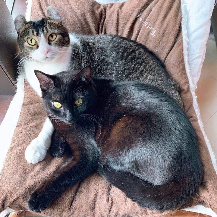 0315071f 67ae 47f2 9797 5528d140b106 1580859474736