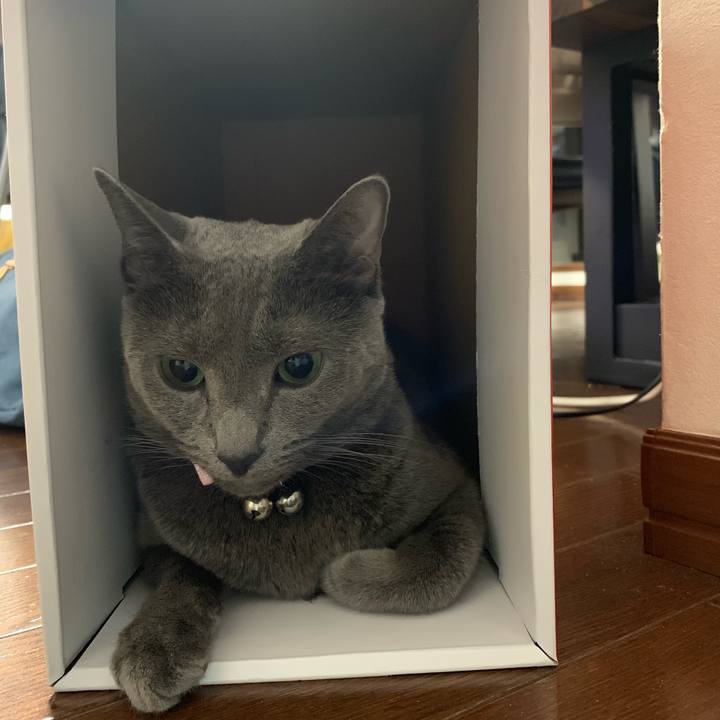 03151711 e303 4f92 98a9 a764753208cb 1570866830581