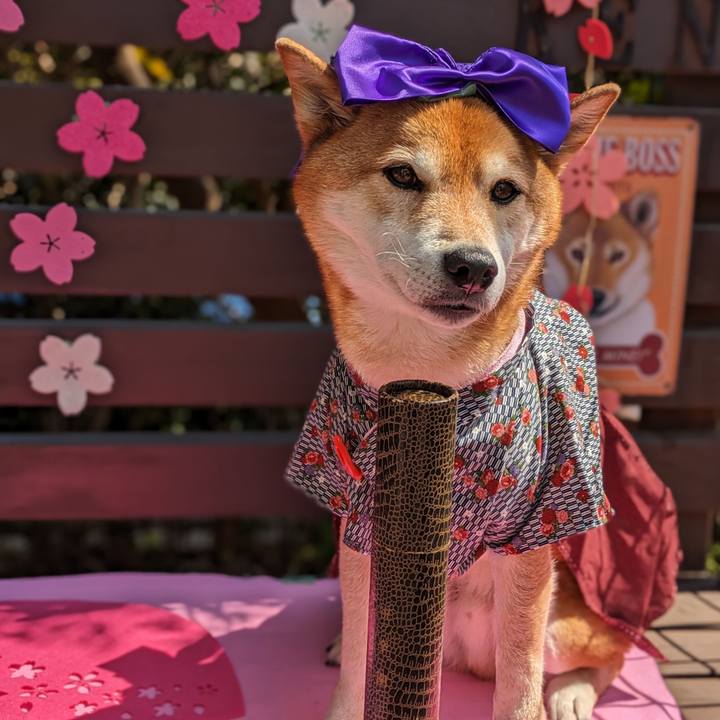 0315187f 5c2b 4022 aab7 57ebc98823ab 1710558512014