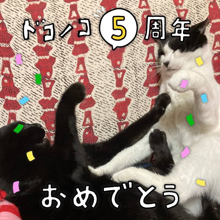 031583c5 353b 4d08 8038 8251a7bcb713 1622872960159