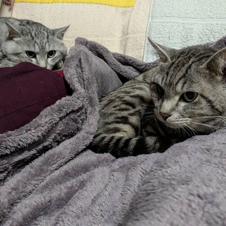 03159fd1 3e2b 4294 9f7c 77dd355820e5 1742749050352