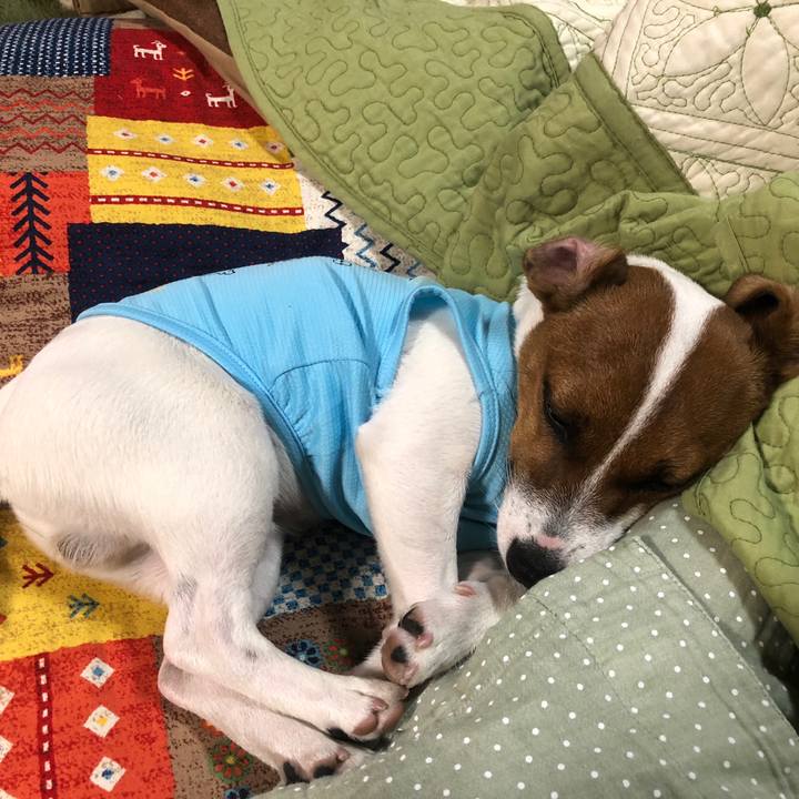 0315b662 1234 4471 8132 e15eb3782ecc 1525517440402